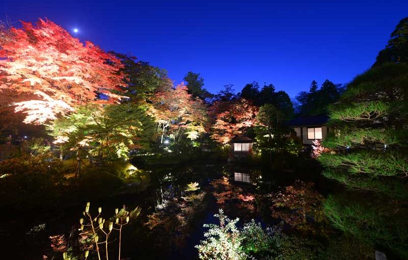 【日光山輪王寺】逍遥園ライトアップ